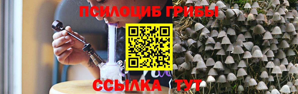Благовещенск  Галлюциногенные грибы GOLDEN TEACHER  Вход с VPN  Псилоцибиновые грибы ЛСД 